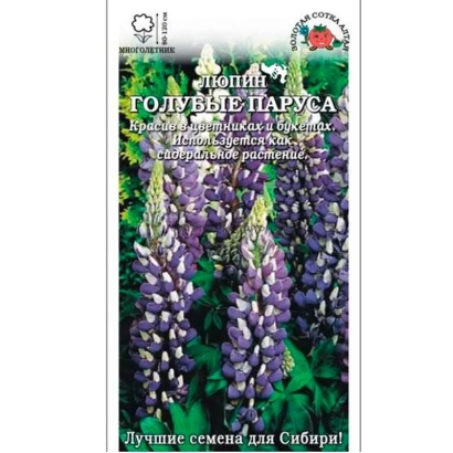 Blue Sail lupine seed packet