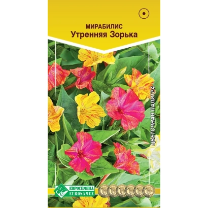 Mirabilis Evening Primrose seed packet with vibrant flowers