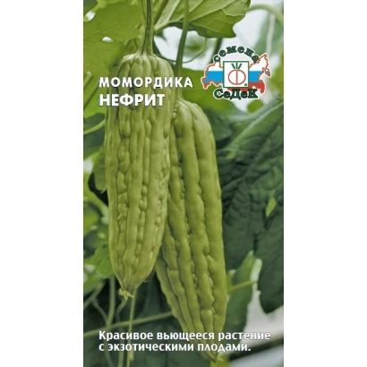 Семена момордики Нефрит на фоне листьев