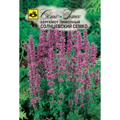 Семена монарды сорта Солнцевский Семко на упаковке