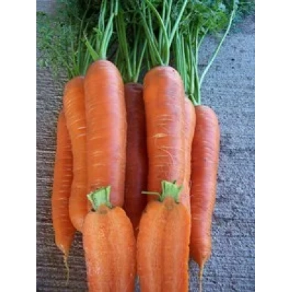 Свежие моркови с ботвой на деревянной поверхности - АФАЛОН F1