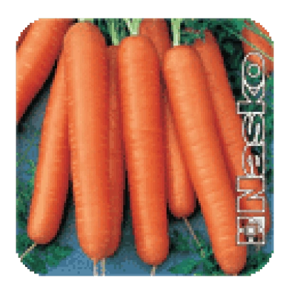 Семена моркови сорта Ассоль на зелёном фоне