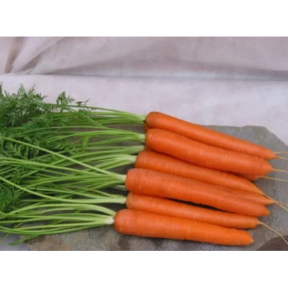 Свежие моркови с ботвой на сером фоне - ДЖЕВЕЛИН F1