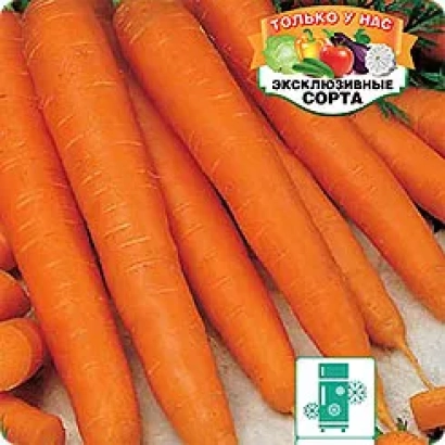 Морковь сорта Эксклюзивные сорта - ФЕДОРОВНА