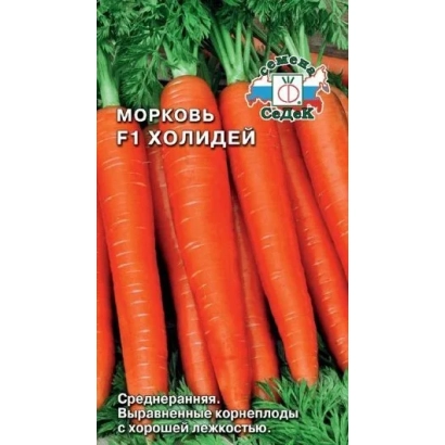 Семена моркови сорта ХОЛИДЕЙ на фоне свежих корнеплодов