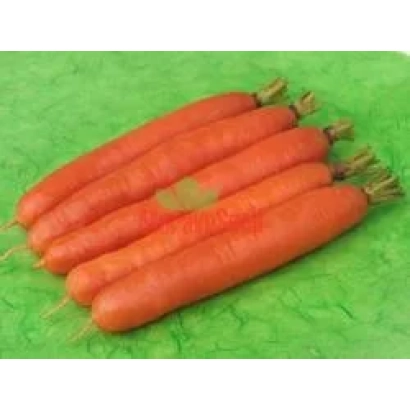 Свежие морковь на зелёном фоне - КАРОТЕЛА