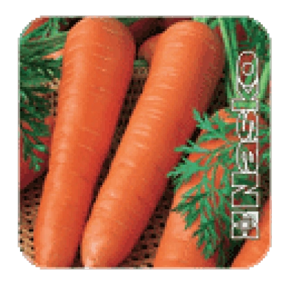 Свежая морковь сорта Мазурка в корзине с зеленью