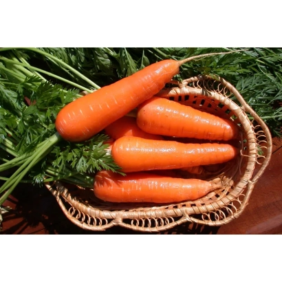 Свежая морковь в плетеной корзине на фоне зелени - Московская зимняя А 515