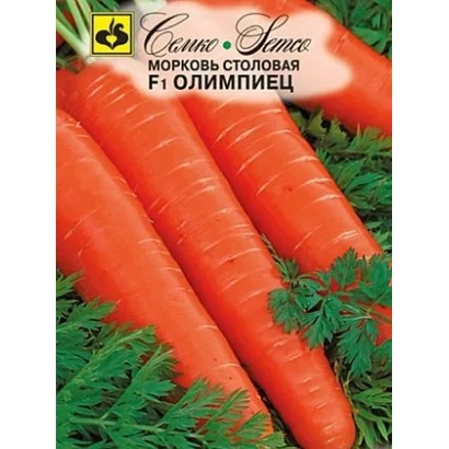 Насіння моркви столової F1 Олімпієць на фоні свіжих морквин