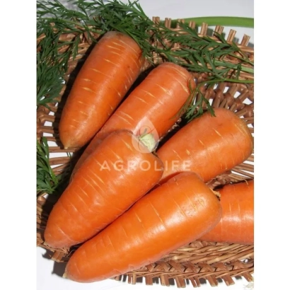 Морковь AGROLIFE в плетёной корзине с зеленью - Ройал Шансон