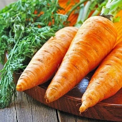 Свежая морковь на деревянной доске с зеленью - Свитшан