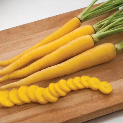 Yellow carrots on a wooden board with sliced rounds - Yellowbunch