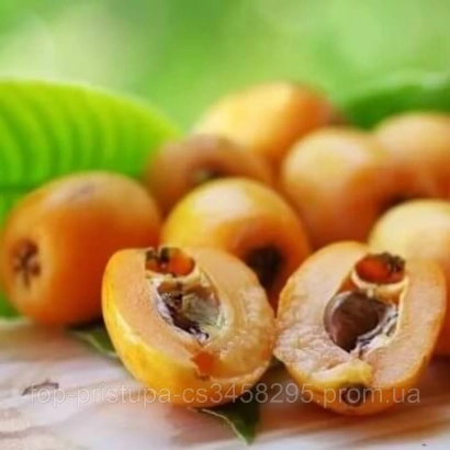 Свежие плоды мушмулы на деревянной поверхности с зелеными листьями - Хвамли