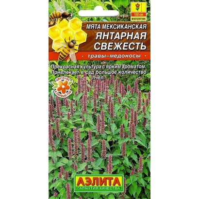 Пакет семян мяты Янтарная с фото растения и цветков