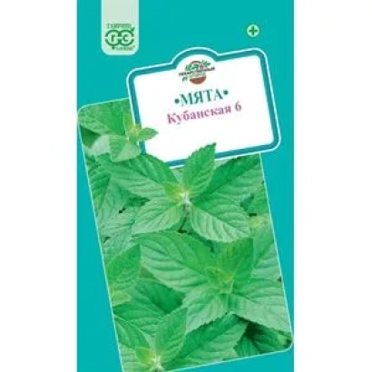 Seed packet of mint Kubanskaya 6