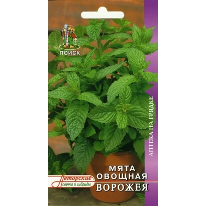 Пакет семян мяты сорта Ворожея с изображением листьев