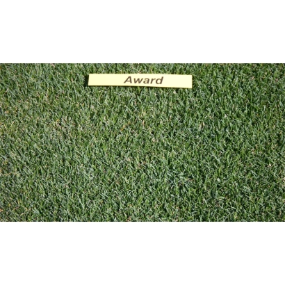 Зеленая мятлик с надписью Award на бирке - АВОРД