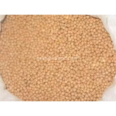 Нут на білому фоні - Пегас