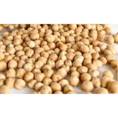 Нут ВОЛЖАНИН 50 | VOLZHANIN 50