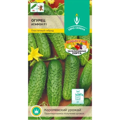 Пакет семян огурца АГАФОН с изображением зеленых огурцов и цветка.