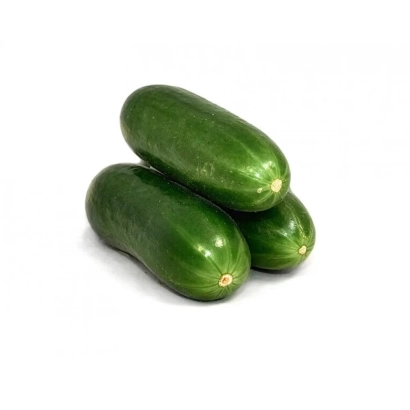 Три огурца сорта Аксакал на белом фоне