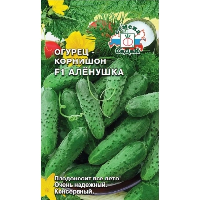 Насіння огірка Коряшон F1 Аленушка на зеленому фоні з зображенням огірків - АЛЕШКА