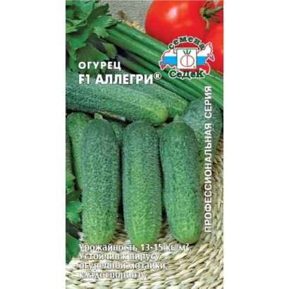 Насіння огірків F1 Аллегрі на фоні свіжих огірків та помідора - АЛЛЕҐРІ