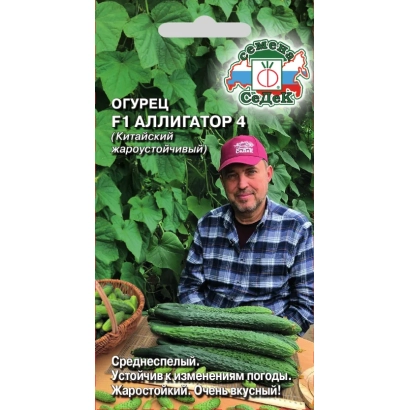Пакет семян огурца F1 АЛЛИГАТОР 4 с изображением огурцов и мужчины в кепке