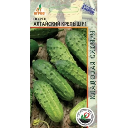 Seed packet of cucumber ALTAYSKY KREPISH F1 with fruit image