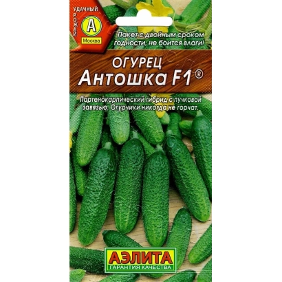 Пакет семян огурца Антошка с изображением зеленых огурцов