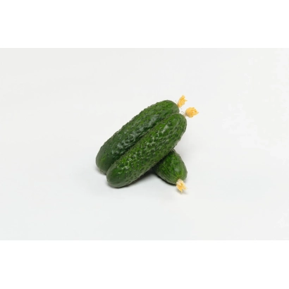 Два огурца на белом фоне - АНТУАН