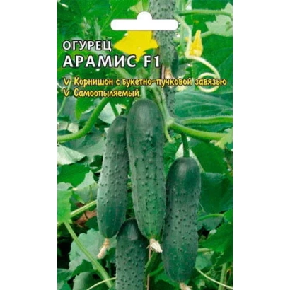 Cucumber seeds ARAMIS F1 on a background of green cucumbers
