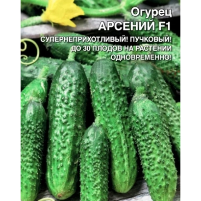 Пакет семян огурца АРСЕНИЙ F1 на фоне зеленых плодов