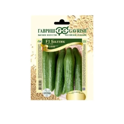 Пакет насіння огіроча БАЛТИК з зображенням плодів