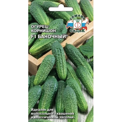 Seed packet of cucumber Hornishkin F1 Banochny - BANOCHE