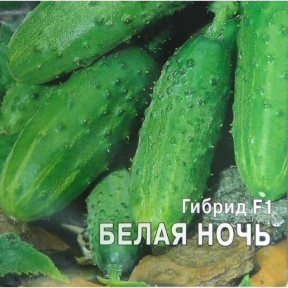 Семена огурца гибрида БЕЛАЯ НОЧЬ