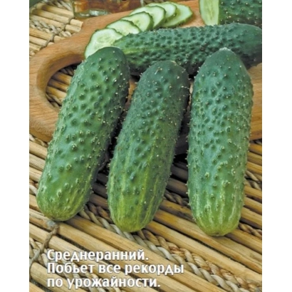 Насіння огірка БЕТХОВЕН на плетеному підкладці