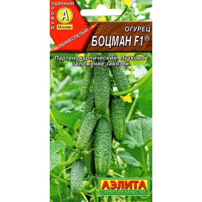 Насіння огірочка Ботсман F1 на фоні грядки з рослиною - Боцман