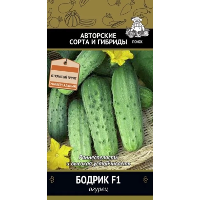 Пакет насіння огірка БОДРИК F1 з зображенням зелених огірків