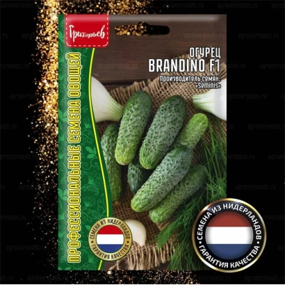 Пакет насіння огірка Браніна