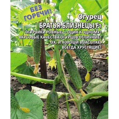 Семена огурца Братья-Близнецы на фоне грядки с растением