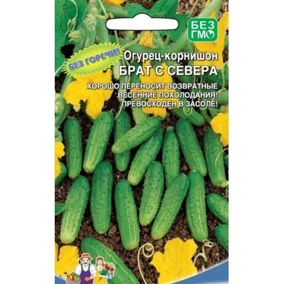 Пакет семян огурца БРАТ С СЕВЕРА с изображением зеленых огурцов