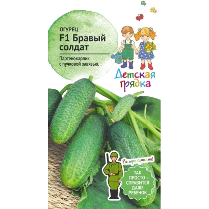 Насіння огірка F1 Бравий солдат на зеленому фоні з зображенням огірків - ХОРОБРИЙ ХЛОПЕЦЬ