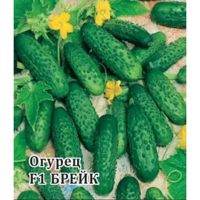 Семена огурца F1 Брейк на фоне листьев и цветов