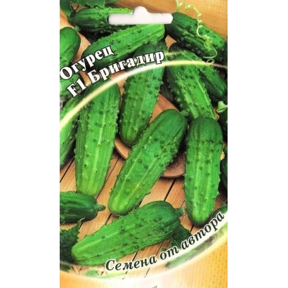 Seed packet of cucumber Brigadir