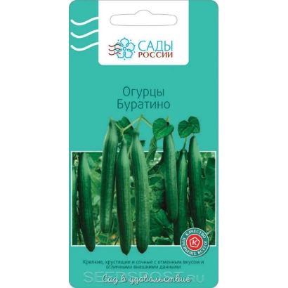 Пакет семян огурца Буратино