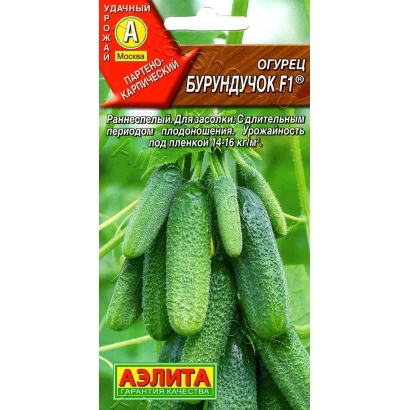 Насіння огірка БУРУНДУЧОК F1 на пакеті
