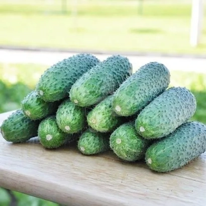 Свіжі огірки сорту Кабейрі на дерев'яній дошці