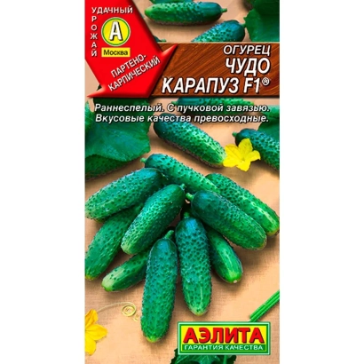 Пакет насіння огірка ЧУДО-КАРАПУЗ з зображенням зелених огірків - ДИВО-КАРАПУЗ