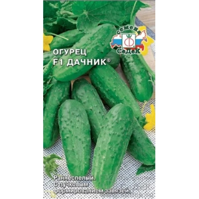 Семена огурца F1 Дачник на упаковке с изображением плодов